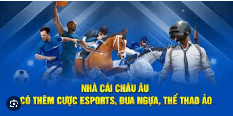 Cách Nhận Biết Và Chọn Nhà Cái Châu Âu Uy Tín Nhất