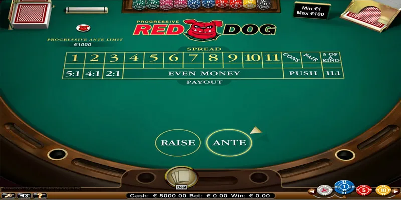 Mẹo chơi Red Dog - Bí quyết để luôn dẫn đầu