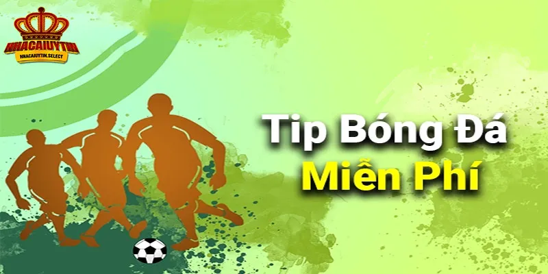 Tip Bóng Đá Miễn Phí Và Những Điều Người Chơi Cần Biết